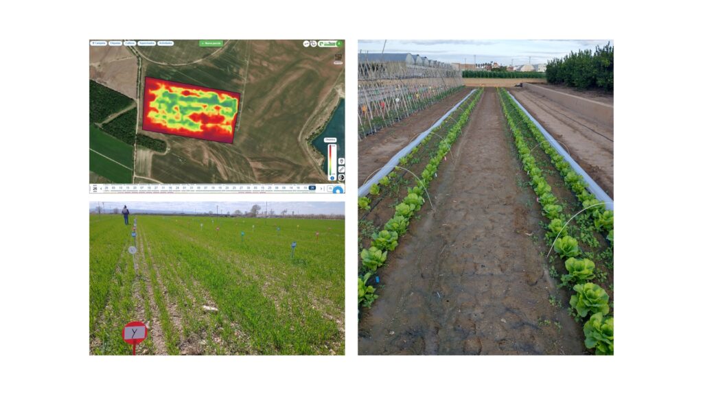 bioestimulantes probados en campo