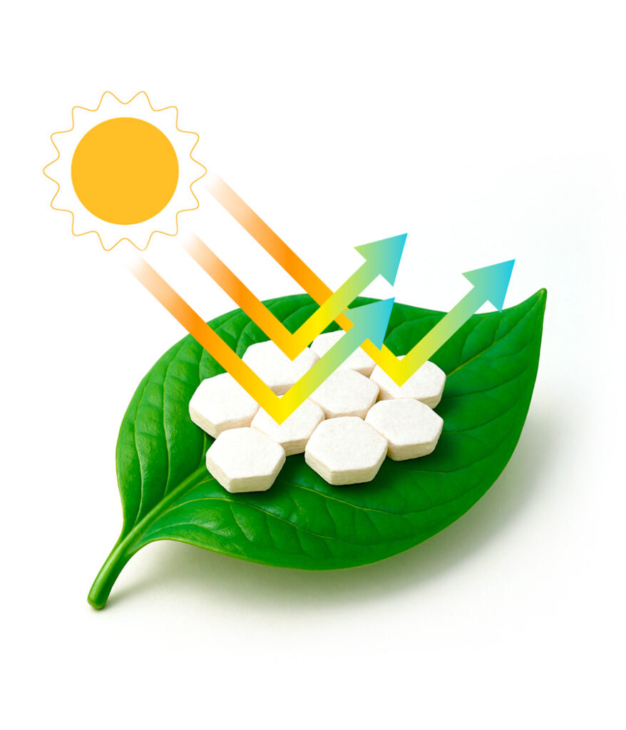 SunGuard