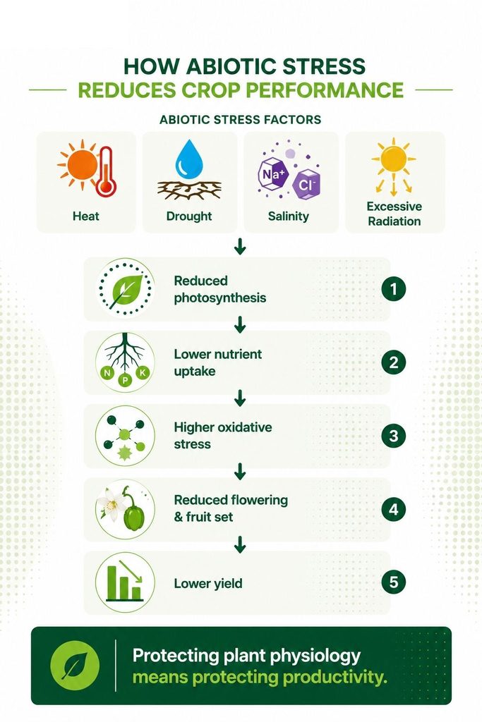 how abiotic stress reduces crop performance