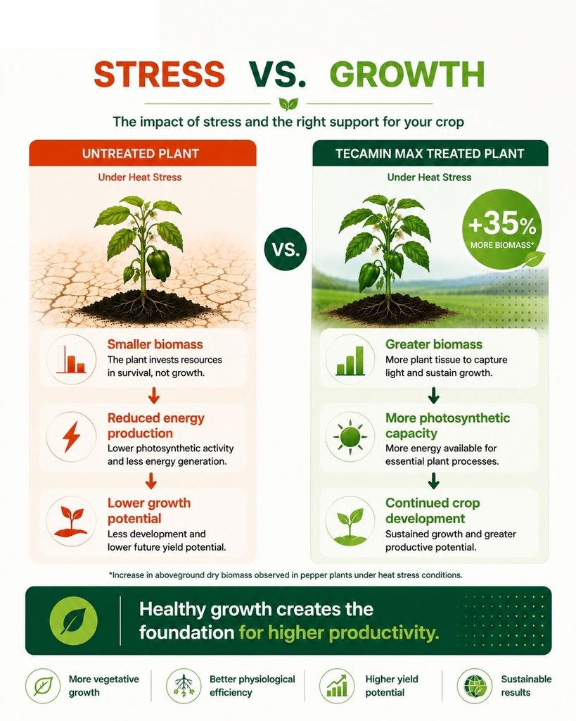 The impact of stress and the right support for your crop