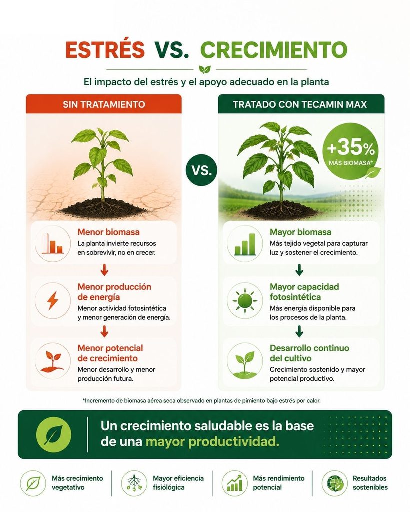 estrés ambiental versus crecimiento de la planta