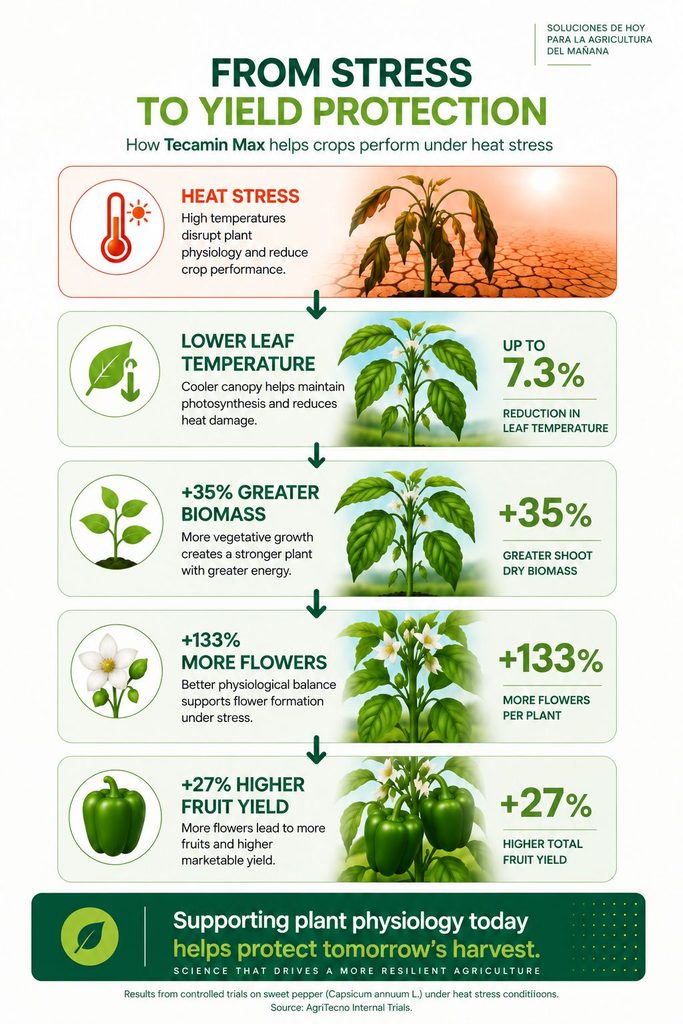 how tecamin max helps crops perform under heat stress
